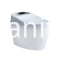 WC intelligente con risciacquo automatico e WC intelligente Automatic Flushing Intelligent Toilet And Smart Toilet
